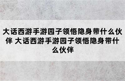 大话西游手游园子领悟隐身带什么伙伴 大话西游手游园子领悟隐身带什么伙伴